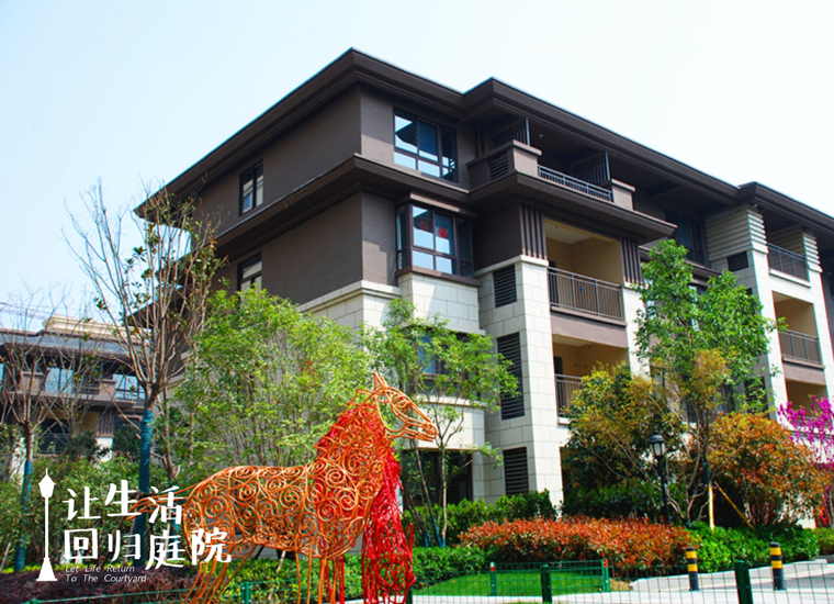 前后张望南阳50年：这样的庭院，，，很难再有了！