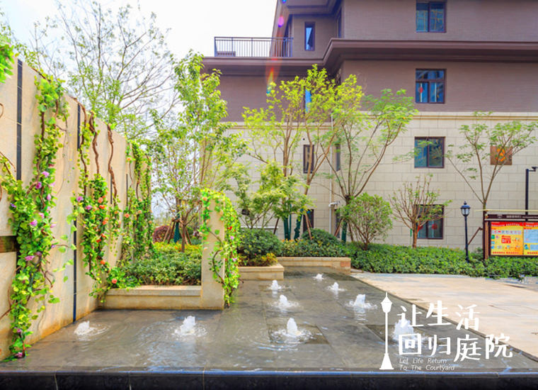 前后张望南阳50年：这样的庭院，，，很难再有了！