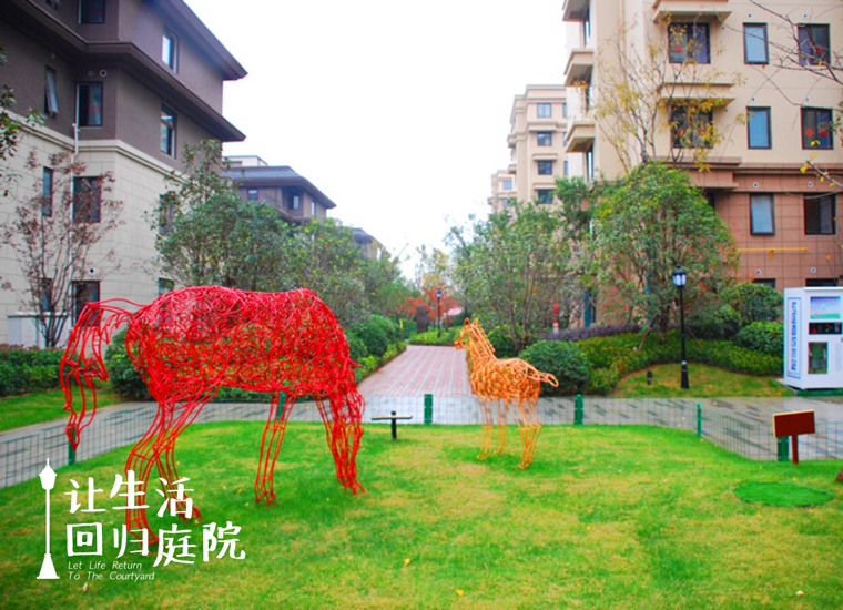 前后张望南阳50年：这样的庭院，，，很难再有了！