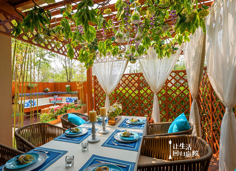 前后张望南阳50年：这样的庭院，，，很难再有了！