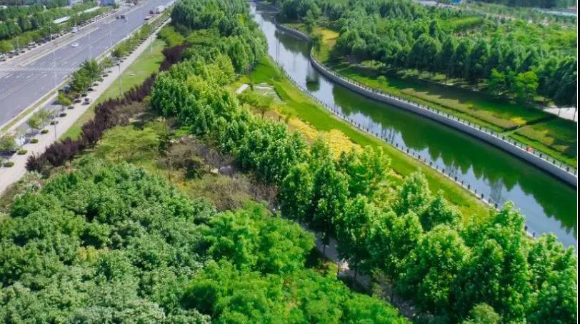 定了！“神兽”线上开学，，，，家里有学生的必看！