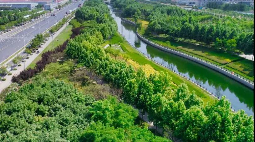 8#楼王加推在即 | 经开顶流热盘，，这一次万万别错过！